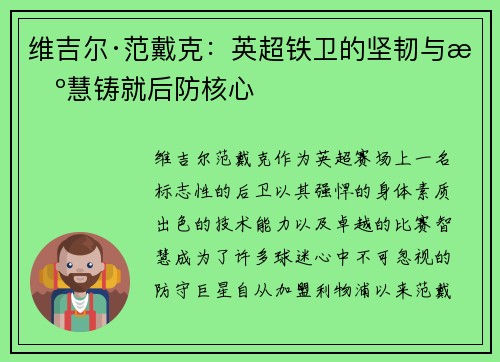维吉尔·范戴克：英超铁卫的坚韧与智慧铸就后防核心
